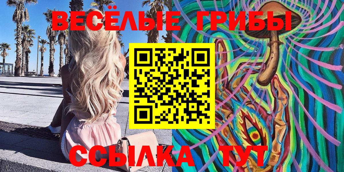 Галлюциногенные грибы прущие грибы  Псилоцибиновые грибы MAGIC MUSHROOMS  Ленинск-Кузнецкий  Вход с VPN 
