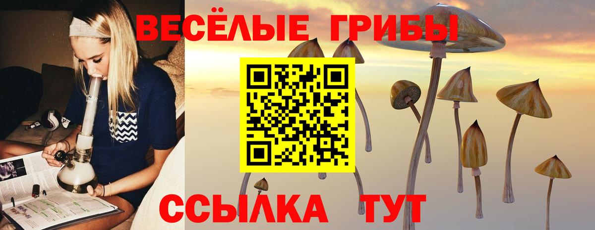Псилоцибиновые грибы мухоморы Ленинск-Кузнецкий