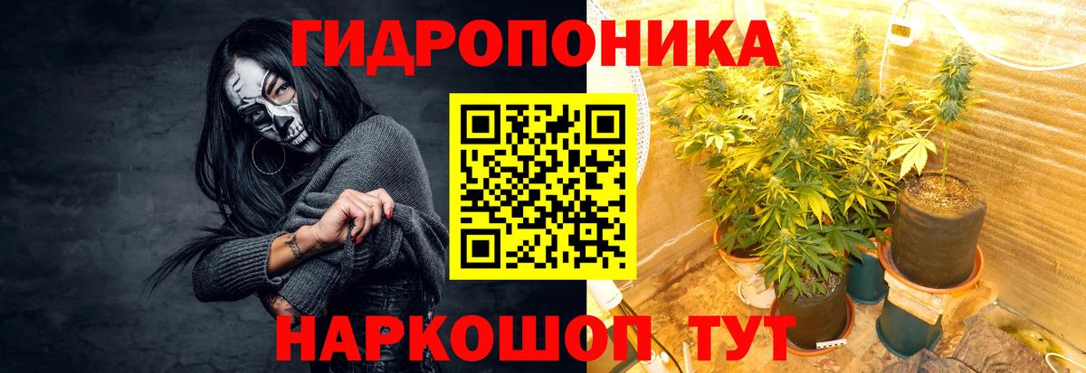Шишки марихуана MAZAR Ленинск-Кузнецкий